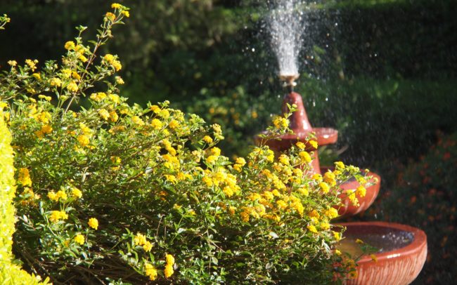 Fountain at Karura House